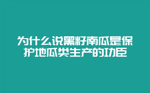 为什么说黑籽南瓜是保护地瓜类生产的功臣-会东网