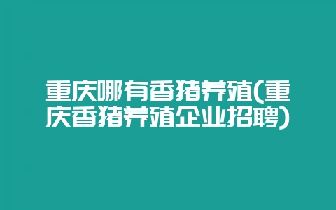 重庆哪有香猪养殖(重庆香猪养殖企业招聘)-会东网