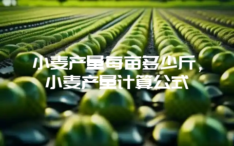 小麦产量每亩多少斤，小麦产量计算公式-会东网