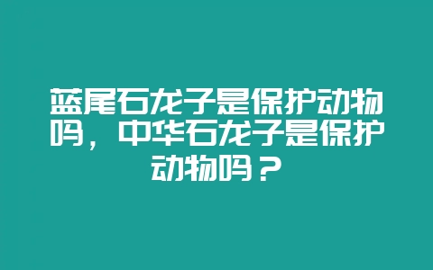 蓝尾石龙子是保护动物吗，中华石龙子是保护动物吗？-会东网