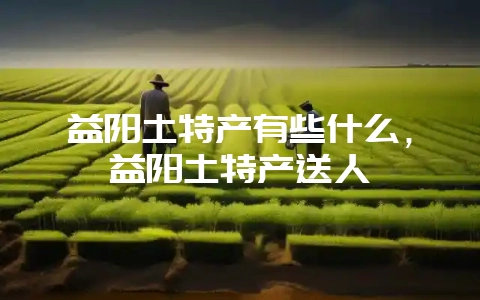 益阳土特产有些什么，益阳土特产送人-会东网