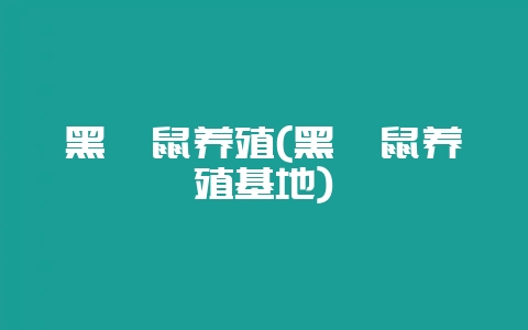 黑豚鼠养殖(黑豚鼠养殖基地)-会东网