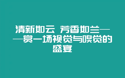 清新如云 芳香如兰——赏一场视觉与嗅觉的盛宴-会东网