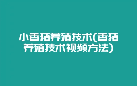 小香猪养殖技术(香猪养殖技术视频方法)-会东网