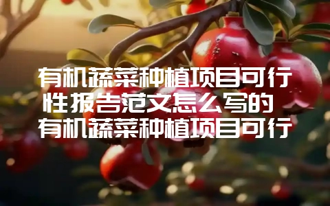 有机蔬菜种植项目可行性报告范文怎么写的 有机蔬菜种植项目可行性报告范文怎么写的好-会东网