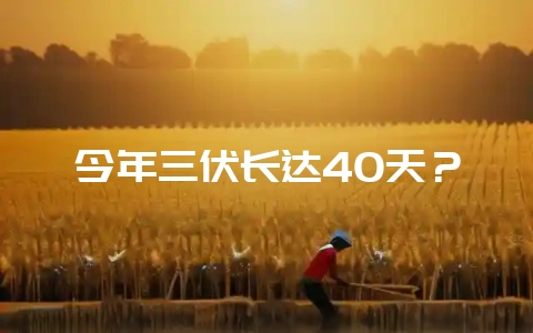 今年三伏长达40天？-会东网
