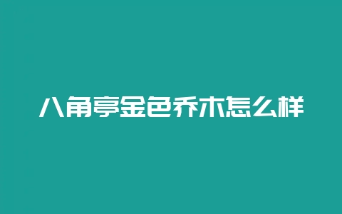 八角亭金色乔木怎么样-会东网