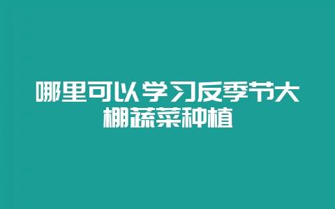 哪里可以学习反季节大棚蔬菜种植-会东网