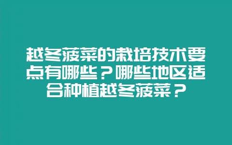 越冬菠菜的栽培技术要点有哪些？哪些地区适合种植越冬菠菜？-会东网