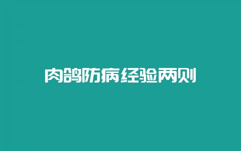 肉鸽防病经验两则-会东网
