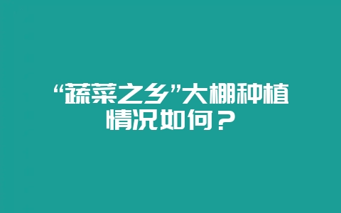 “蔬菜之乡”大棚种植情况如何?-会东网
