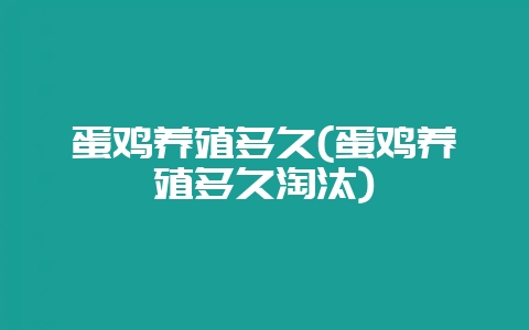蛋鸡养殖多久(蛋鸡养殖多久淘汰)-会东网