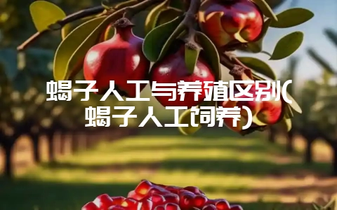 蝎子人工与养殖区别(蝎子人工饲养)-会东网