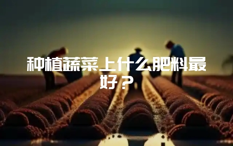 种植蔬菜上什么肥料最好?-会东网