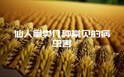 仙人掌类几种常见的病虫害-会东网