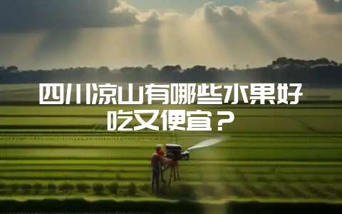 四川凉山有哪些水果好吃又便宜?-会东网