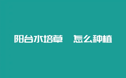 阳台水培草莓怎么种植-会东网