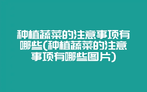 种植蔬菜的注意事项有哪些(种植蔬菜的注意事项有哪些图片)-会东网