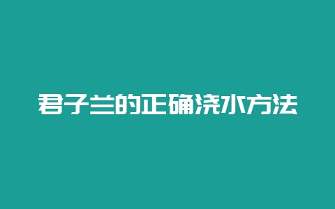 君子兰的正确浇水方法-会东网