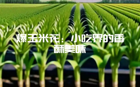 爆玉米花：小吃界的香酥美味-会东网