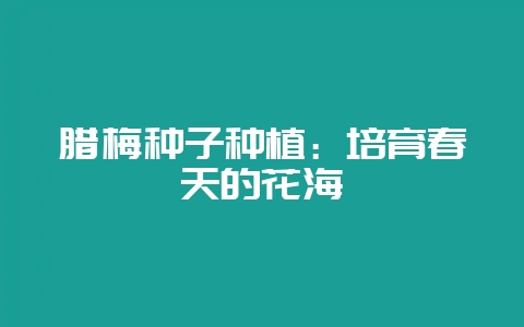 腊梅种子种植：培育春天的花海-会东网