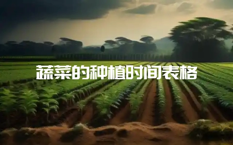蔬菜的种植时间表格-会东网