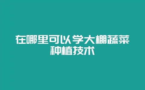 在哪里可以学大棚蔬菜种植技术-会东网