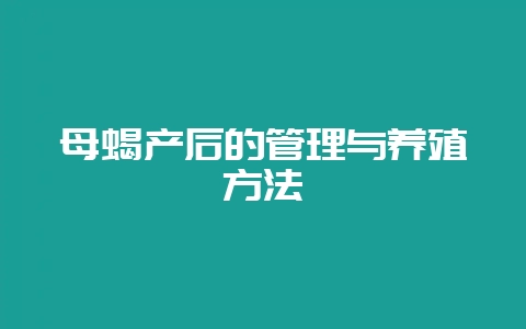 母蝎产后的管理与养殖方法-会东网