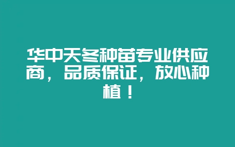 华中天冬种苗专业供应商,品质保证,放心种植!插图 华中天冬种苗专业供应商,品质保证,放心种植!插图