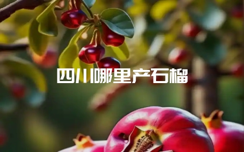 四川哪里产石榴-会东网