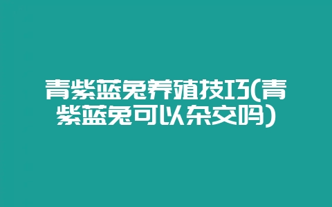 青紫蓝兔养殖技巧(青紫蓝兔可以杂交吗)-会东网