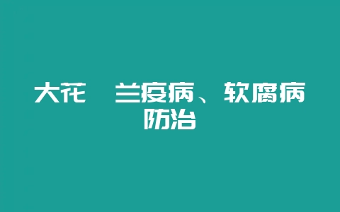 大花蕙兰疫病、软腐病防治-会东网
