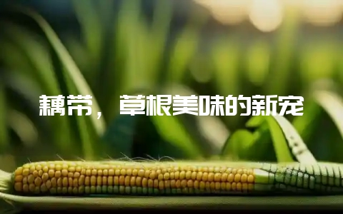 藕带，草根美味的新宠-会东网