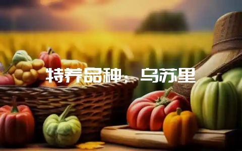特养品种：乌苏里貉-会东网
