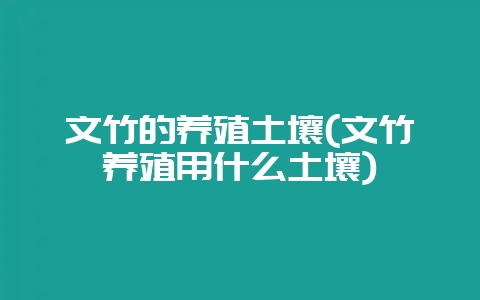 文竹的养殖土壤(文竹养殖用什么土壤)-会东网