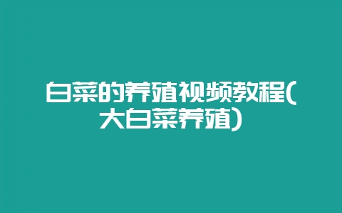 白菜的养殖视频教程(大白菜养殖)-会东网
