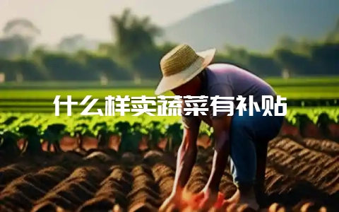 什么样卖蔬菜有补贴-会东网
