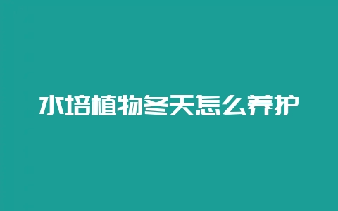 水培植物冬天怎么养护-会东网