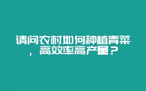 请问农村如何种植青菜，高效率高产量？-会东网