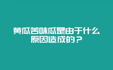 黄瓜苦味瓜是由于什么原因造成的？-会东网
