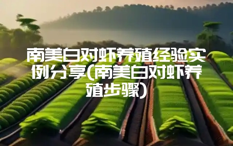 南美白对虾养殖经验实例分享(南美白对虾养殖步骤)-会东网