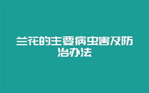 兰花的主要病虫害及防治办法-会东网