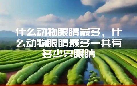 什么动物眼睛最多，什么动物眼睛最多一共有多少只眼睛-会东网
