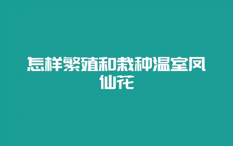 怎样繁殖和栽种温室凤仙花-会东网