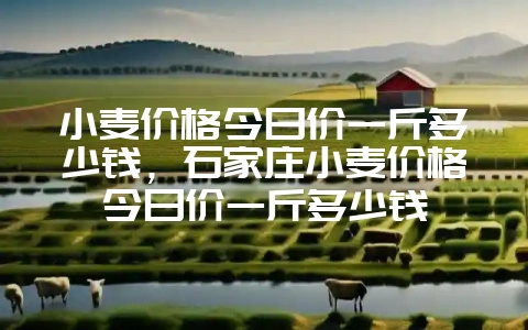 小麦价格今日价一斤多少钱,石家庄小麦价格今日价一斤多少钱-会东网