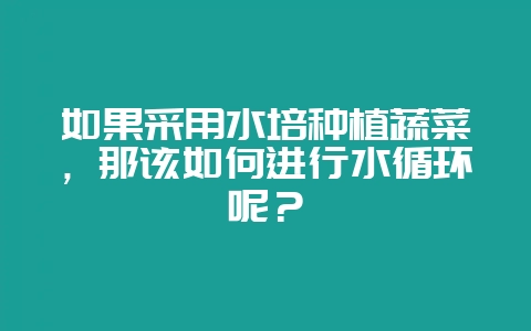 如果采用水培种植蔬菜，那该如何进行水循环呢？-会东网