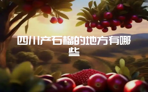 四川产石榴的地方有哪些-会东网