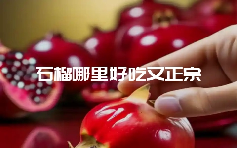 石榴哪里好吃又正宗-会东网