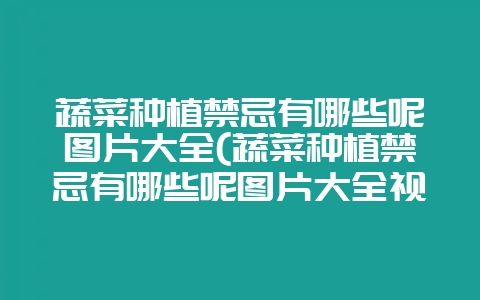 蔬菜种植禁忌有哪些呢图片大全(蔬菜种植禁忌有哪些呢图片大全视频)-会东网