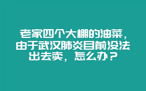 老家四个大棚的油菜，由于武汉肺炎目前没法出去卖，怎么办？-会东网